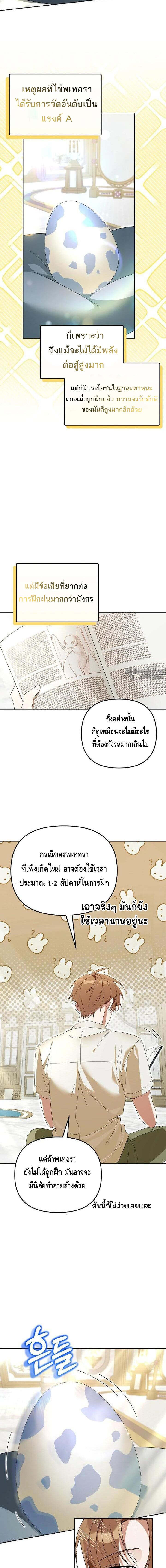 The Genius Tamer of the Academy เทมเมอร์ยอดอัจฉริยะแห่งสถาบัน ตอนที่ 28 แปลไทย page 8