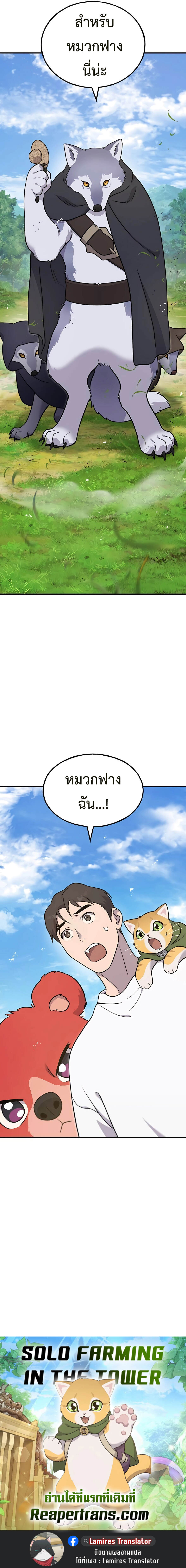 Solo Farming In The Tower ตอนที่ 48 แปลไทย page 19