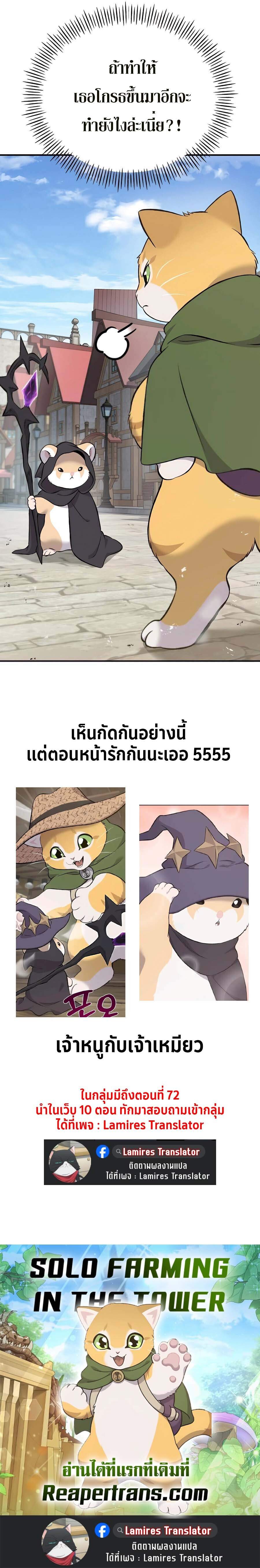 Solo Farming In The Tower ตอนที่ 62 แปลไทย page 19